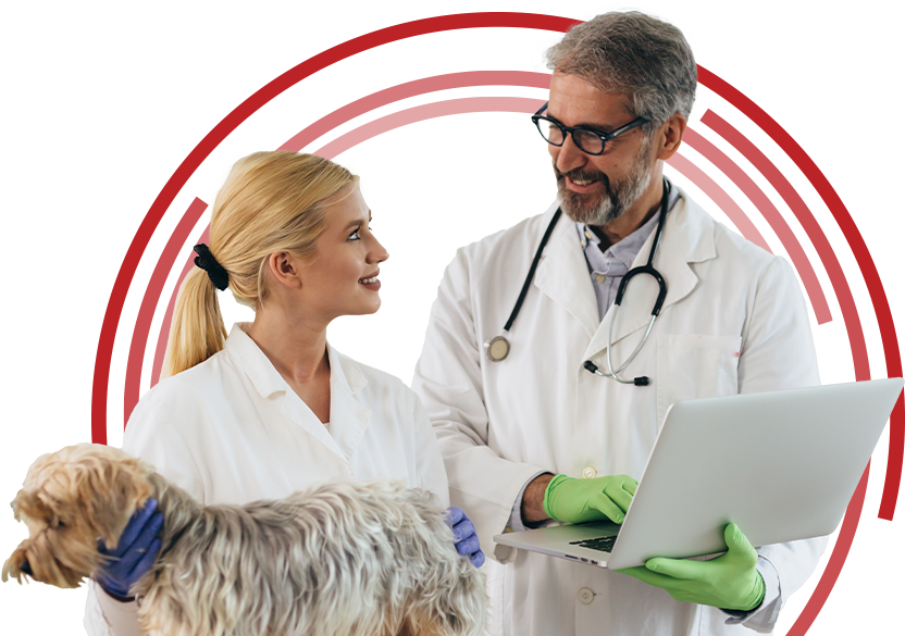 Continuing Education course credits for veterinarians and veterinary technicians.