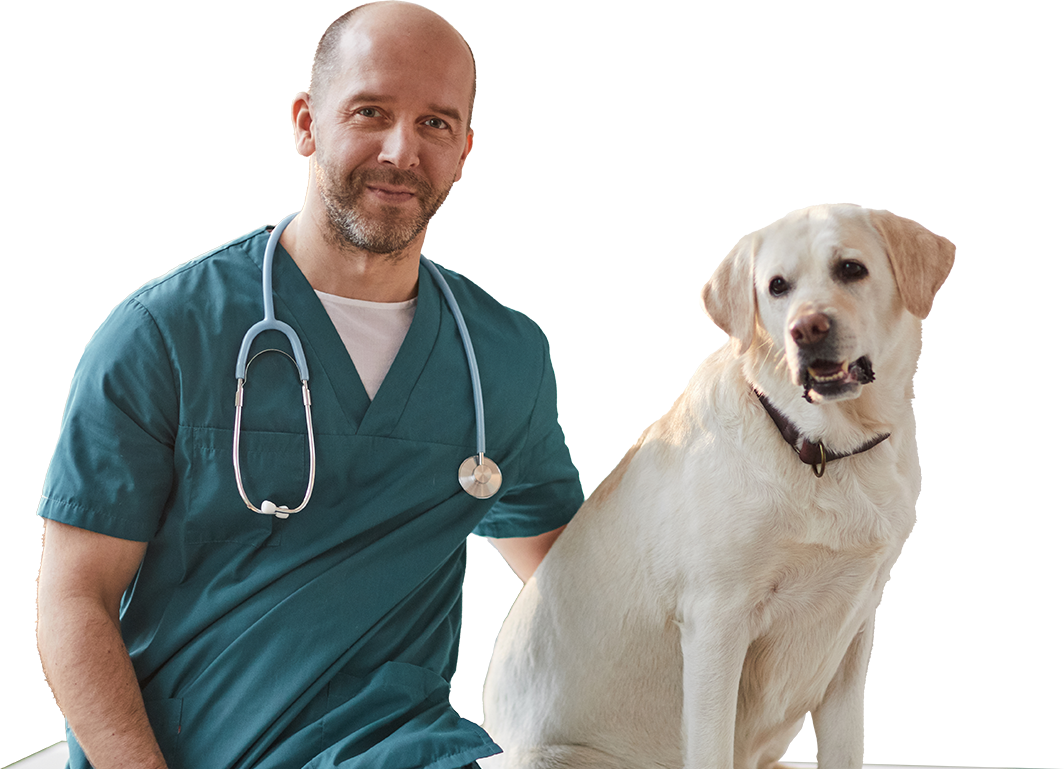 General practice veterinarians should have access to advanced oral care treatments.